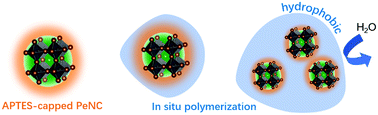 Graphical abstract: Luminescent perovskite nanocrystal composites via in situ ligand polymerization towards display applications