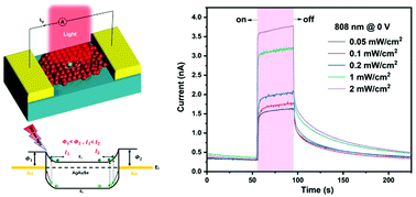 Graphical abstract: Solution-processed self-powered near-infrared photodetectors of toxic heavy metal-free AgAuSe colloidal quantum dots