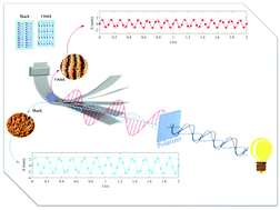 Graphical abstract: Effects of polarized light on the optical and self-oscillation behaviors of liquid crystal network polymers