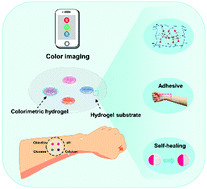 Graphical abstract: Flexible, self-healable, adhesive and wearable hydrogel patch for colorimetric sweat detection