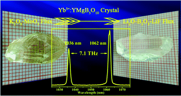 Graphical abstract: Optimization of fluxes for Yb3+:YMgB5O10 crystal growth and intense multi-wavelength emission characteristics in spectra and laser performances