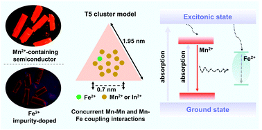 Graphical abstract: Unveiling the impurity-modulated photoluminescence from Mn2+-containing metal chalcogenide semiconductors via Fe2+ doping