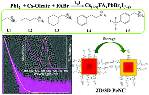 Graphical abstract: Functionalized hybrid perovskite nanocrystals with organic ligands showing a stable 3D/2D core/shell structure for display and laser applications