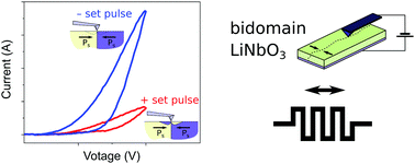 Graphical abstract: Conductivity and memristive behavior of completely charged domain walls in reduced bidomain lithium niobate