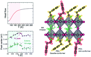 Graphical abstract: The effect of organic cation dynamics on the optical properties in (PEA)2(MA)[Pb2I7] perovskite dimorphs