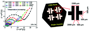 Graphical abstract: Effect of bromine doping on the charge transfer, ion migration and stability of the single crystalline MAPb(BrxI1−x)3 photodetector