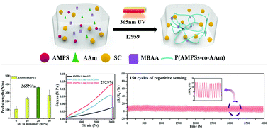 Graphical abstract: Polyelectrolyte-derived adhesive, super-stretchable hydrogel for a stable, wireless wearable sensor