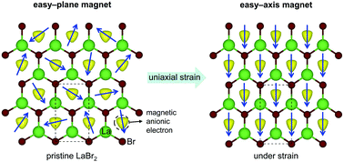Graphical abstract: A first principles study of uniaxial strain-stabilized long–range ferromagnetic ordering in electrenes