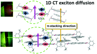 Graphical abstract: Ultrafast photo-driven charge transfer exciton dynamics in mixed-stack pyrene-perylenediimide single co-crystals