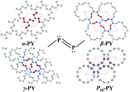 Graphical abstract: Uncovering the missing piece of unsaturated two-dimensional phosphorus: a theoretical approach