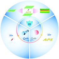 Graphical abstract: Solvent/UV driven information encryption based on a multilayer quasi-amorphous photonic heterostructure