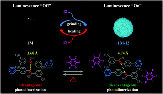 Graphical abstract: Reversible luminescence “off–on” regulation based on tunable photodimerization via crystal-to-cocrystal transformation