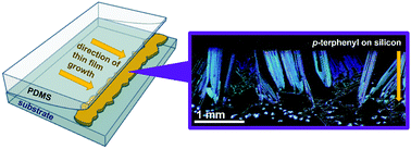 Graphical abstract: Increased crystallite size in thin films of C60 and p-terphenyls via PDMS-assisted crystallization