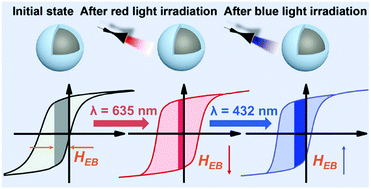 Graphical abstract: Photo-controlled exchange bias in CoO@Co–Fe PBA core–shell heterostructures