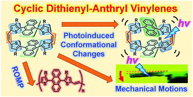 Graphical abstract: Cyclic and linear dithienyl-anthryl vinylenes: synthesis, X-ray crystallography, spectroscopic properties, and photoinduced mechanical motions