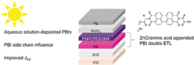 Graphical abstract: Amino acid functionalised perylene bisimides for aqueous solution-deposited electron transporting interlayers in organic photovoltaic devices