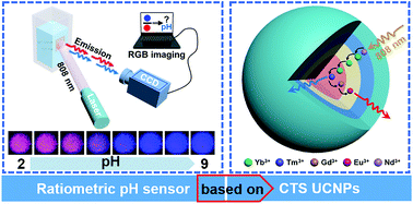 Graphical abstract: Blue/red ratiometric pH sensors without background signals based on 808 nm-excited core–triple shell up-conversion nanoparticles
