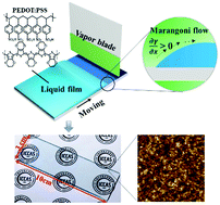 Graphical abstract: Vapor-induced marangoni coating for organic functional films