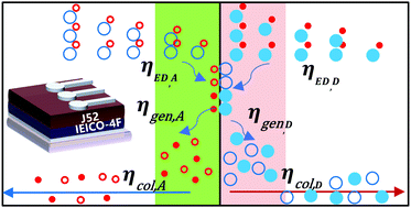 Graphical abstract: Elucidating the role of the heterojunction interface in the exciton harvest and charge collection of organic solar cells through a planar heterojunction structure