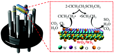 Graphical abstract: A highly selective gas sensor based on the WO3/WS2 van der Waals heterojunction for the 2-chloroethyl ethyl sulfide (2-CEES) sensing application