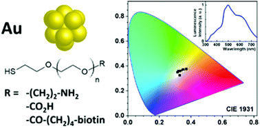 Graphical abstract: Facile one-pot synthesis of white emitting gold nanocluster solutions composed of red, green and blue emitters