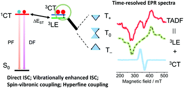 Graphical abstract: Application of time-resolved electron paramagnetic resonance spectroscopy in the mechanistic study of thermally activated delayed fluorescence (TADF) materials