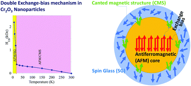 Graphical abstract: Entangled core/shell magnetic structure driven by surface magnetic symmetry-breaking in Cr2O3 nanoparticles