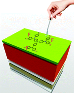 Graphical abstract: The impact of fluorine atoms on a triphenylamine-based dopant-free hole-selective layer for perovskite solar cells