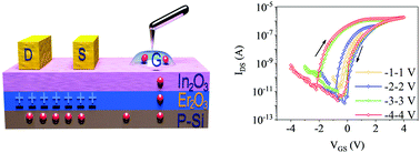 Graphical abstract: Side-liquid-gated electrochemical transistors and their neuromorphic applications