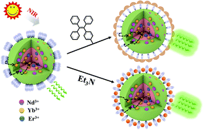 Graphical abstract: Conjugate and non-conjugate controls of a sensitizer to enhance dye-sensitized upconversion luminescence