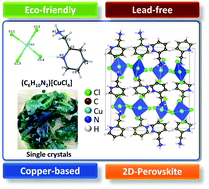 Graphical abstract: A copper-based 2D hybrid perovskite solar absorber as a potential eco-friendly alternative to lead halide perovskites