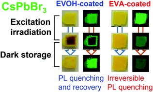 Graphical abstract: Implications of gas-barrier properties in realizing the self-recovery of photodegraded CsPbBr3 perovskite nanocrystals