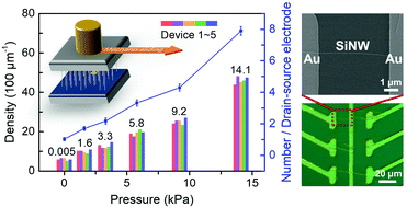 Graphical abstract: Direct mechano-sliding transfer of chemical vapor deposition grown silicon nanowires for nanoscale electronic devices
