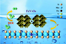 Graphical abstract: FeV3O8/MoS2 nanostructure heterojunctions as a highly effective electrocatalyst for hydrogen evolution