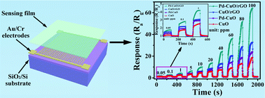 Graphical abstract: Highly responsive and selective ppb-level NO2 gas sensor based on porous Pd-functionalized CuO/rGO at room temperature