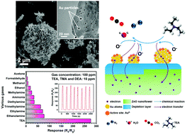 Graphical abstract: Insights into the effect of Au particle size on triethylamine sensing properties based on a Au–ZnO nanoflower sensor