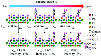 Graphical abstract: Surface modification strategy based on molecular engineering of an organic cation toward spectrally stable deep-blue emission perovskites