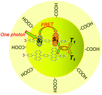 Graphical abstract: Efficient singlet fission in nanoparticles of amphipathic anthracene–tetracene dyad with broadband light harvesting ability