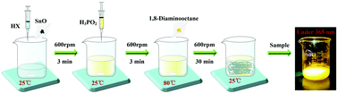 Graphical abstract: Highly luminescent broadband phosphors based on acid solvent coordinated two-dimensional layered tin-based perovskites