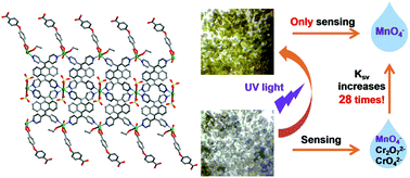 Graphical abstract: A new photochromic-ligand-based luminescent coordination polymer as a MnO4− sensor with extremely high sensitivity and excellent selectivity