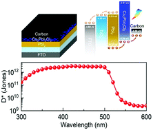 Graphical abstract: In situ, seed-free formation of a Ruddlesden–Popper perovskite Cs2PbI2Cl2 nanowires/PbI2 heterojunction for a high-responsivity, self-powered photodetector