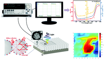 Graphical abstract: A tin oxide/silicon heterojunction with a nano litchi shell structure for ultrafast, high-detectivity, self-powered broadband photodetectors