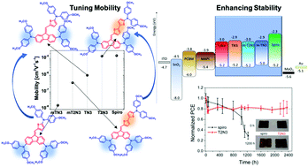 Graphical abstract: Correlating the chemical structure and charge transport ability of dibenzofulvene-based hole transporting materials for stable perovskite solar cells