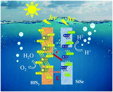 Graphical abstract: Z-Scheme photocatalytic solar-energy-to-hydrogen conversion driven by the HfS2/SiSe heterostructure