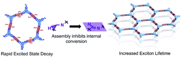 Graphical abstract: Layered structures of assembled imine-linked macrocycles and two-dimensional covalent organic frameworks give rise to prolonged exciton lifetimes