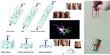 Graphical abstract: Neuron-inspired multifunctional conductive hydrogels for flexible wearable sensors