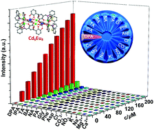 Graphical abstract: Construction of a luminescent square-like Cd6Eu2 nanocluster for the quantitative detection of 2,6-dipicolinic acid as an anthrax biomarker