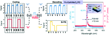 Graphical abstract: A porous GaN/MoO3 heterojunction for filter-free, ultra-narrowband ultraviolet photodetection