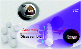 Graphical abstract: Phototactic micromotor assemblies in dynamic line formations for wide-range micromanipulations