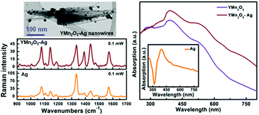 Graphical abstract: Hot hole transfer from Ag nanoparticles to multiferroic YMn2O5 nanowires enables superior photocatalytic activity